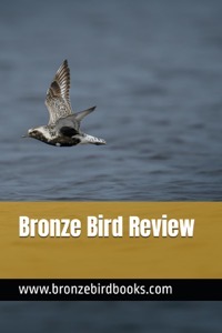 Cover of Bronze Bird Review #1 showing a seabird flying over the ocean