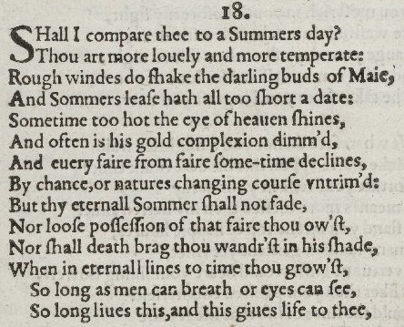 Sonnet 18 after much machine translation